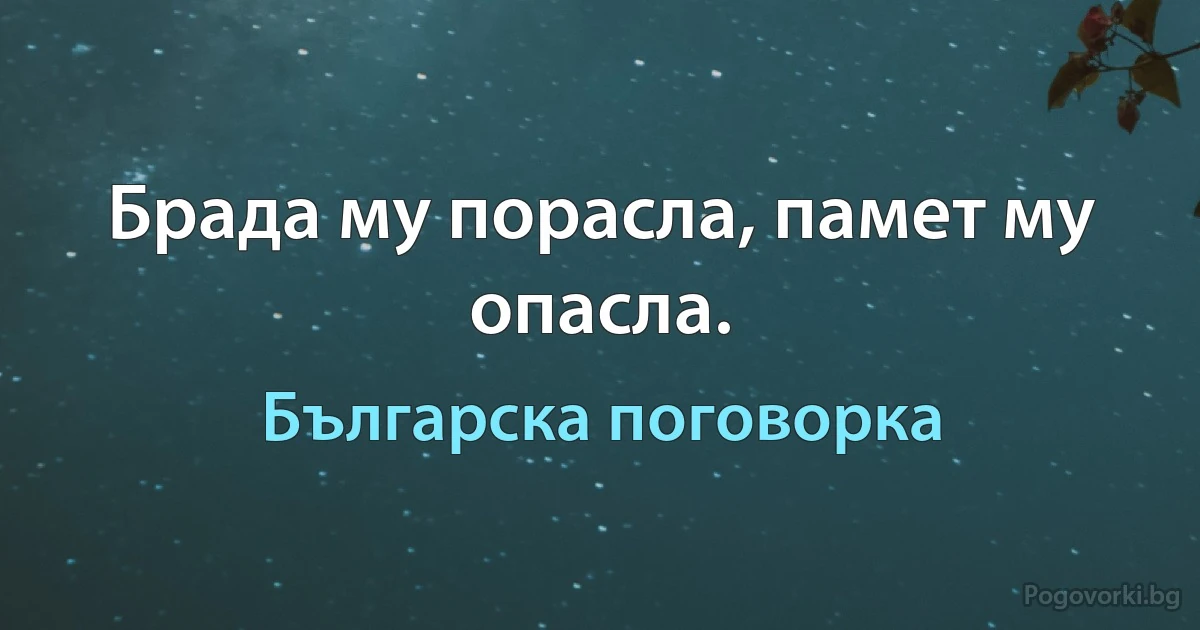 Брада му порасла, памет му опасла. (Българска поговорка)