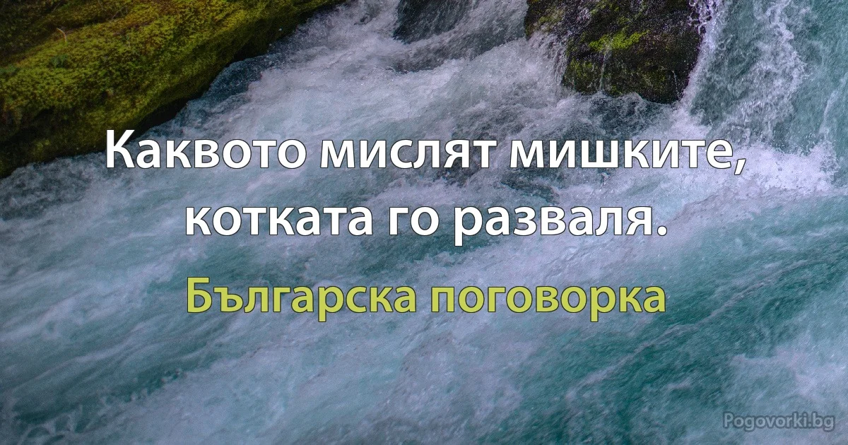 Каквото мислят мишките, котката го разваля. (Българска поговорка)