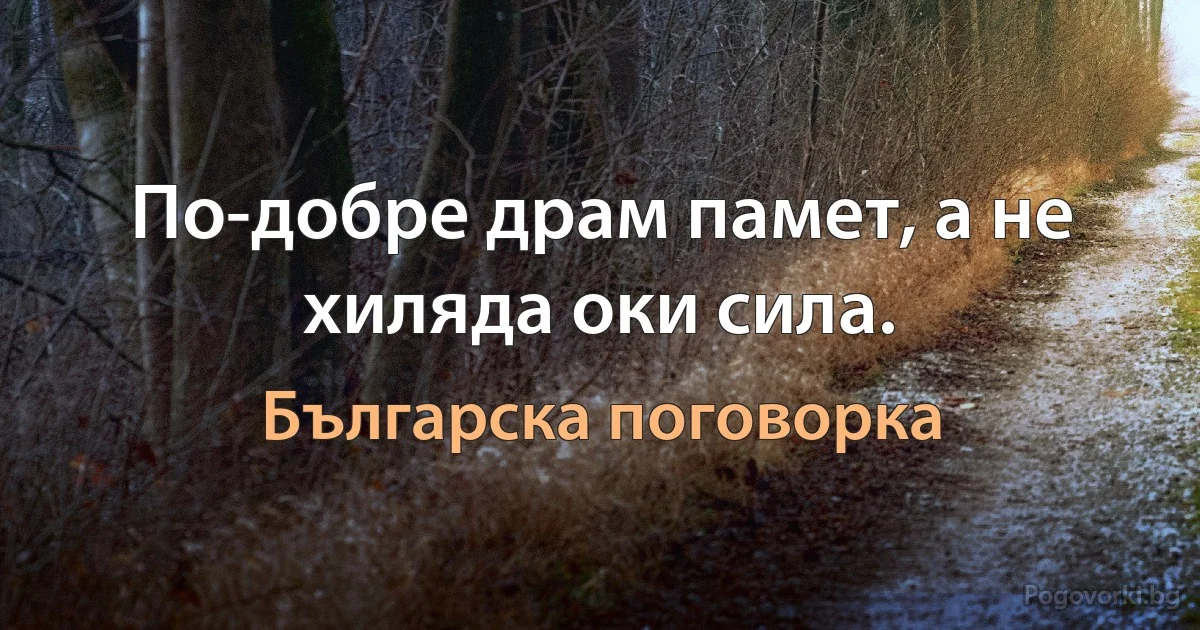 По-добре драм памет, а не хиляда оки сила. (Българска поговорка)