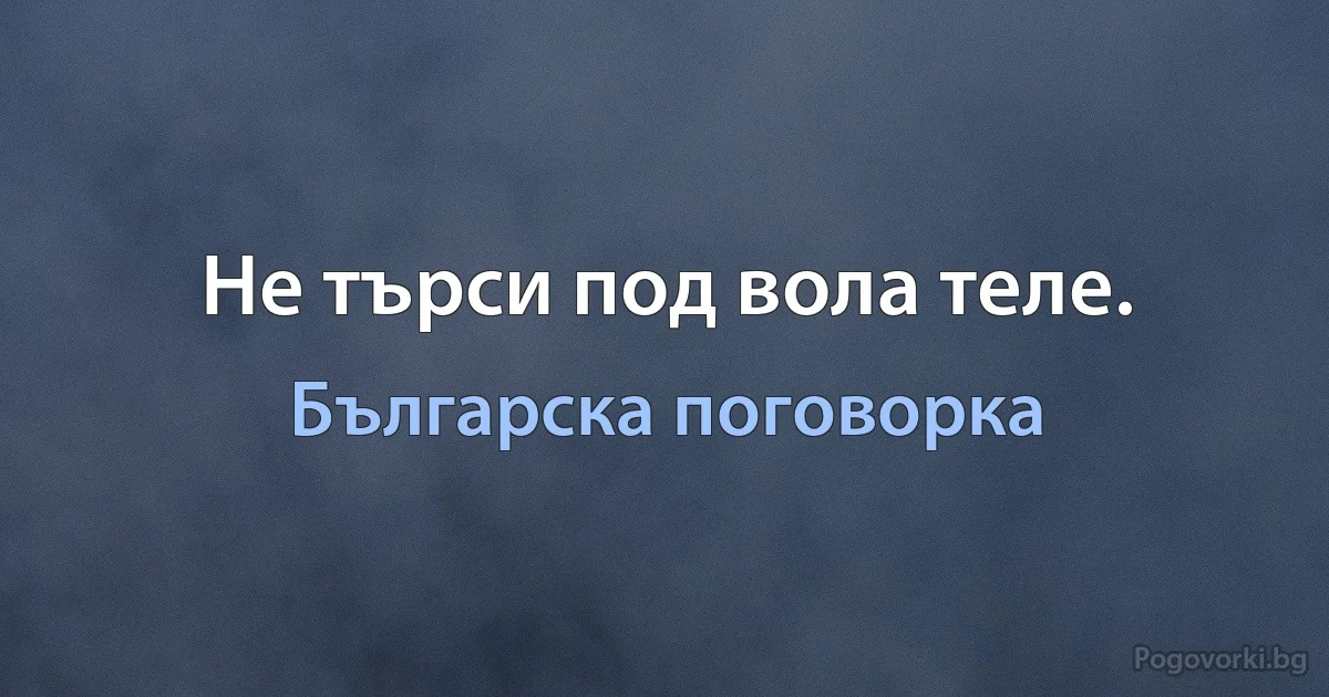 Не търси под вола теле. (Българска поговорка)