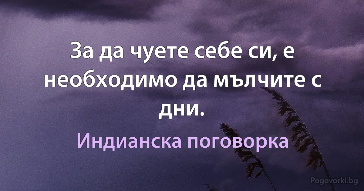 За да чуете себе си, е необходимо да мълчите с дни. (Индианска поговорка)