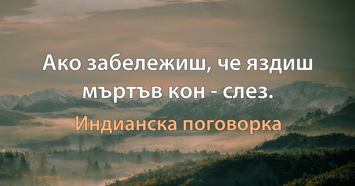 Ако забележиш, че яздиш мъртъв кон - слез. (Индианска поговорка)