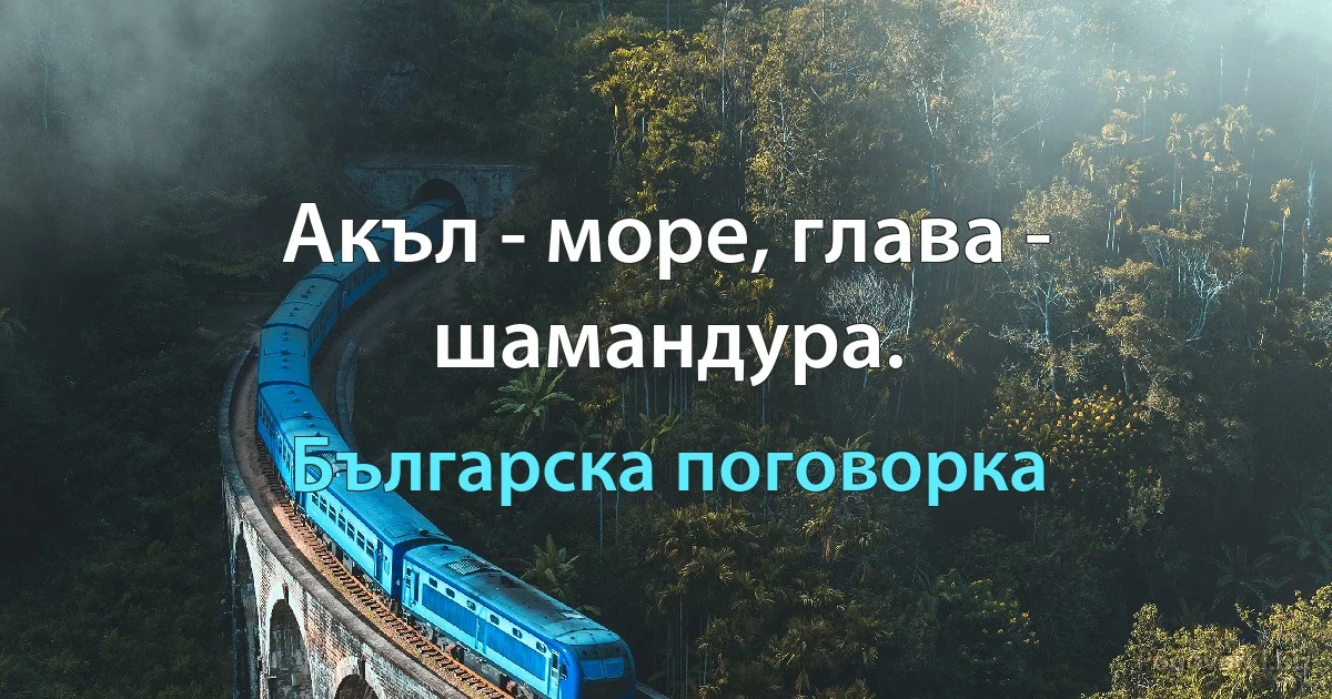 Акъл - море, глава - шамандура. (Българска поговорка)
