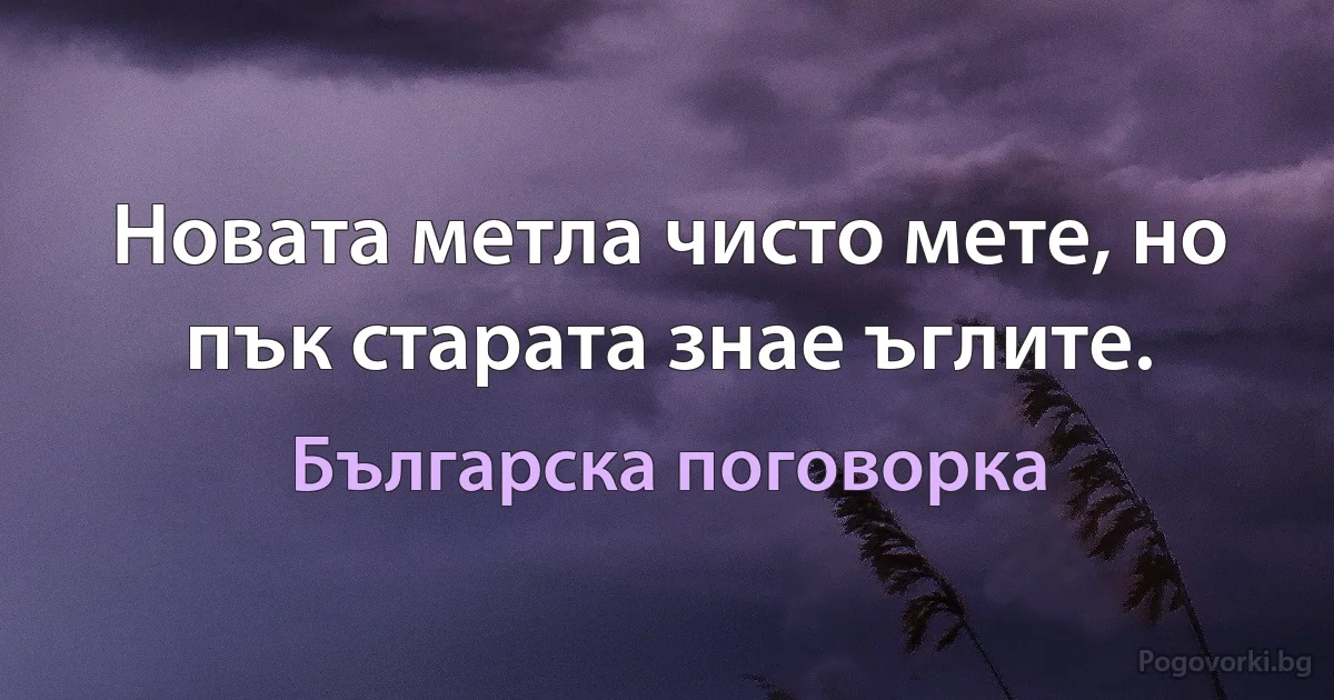 Новата метла чисто мете, но пък старата знае ъглите. (Българска поговорка)