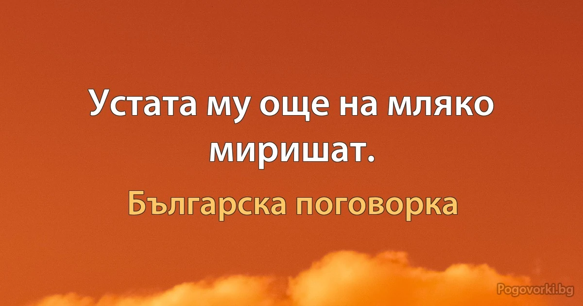 Устата му още на мляко миришат. (Българска поговорка)