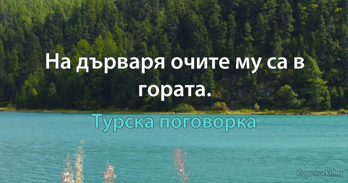 На дърваря очите му са в гората. (Турска поговорка)
