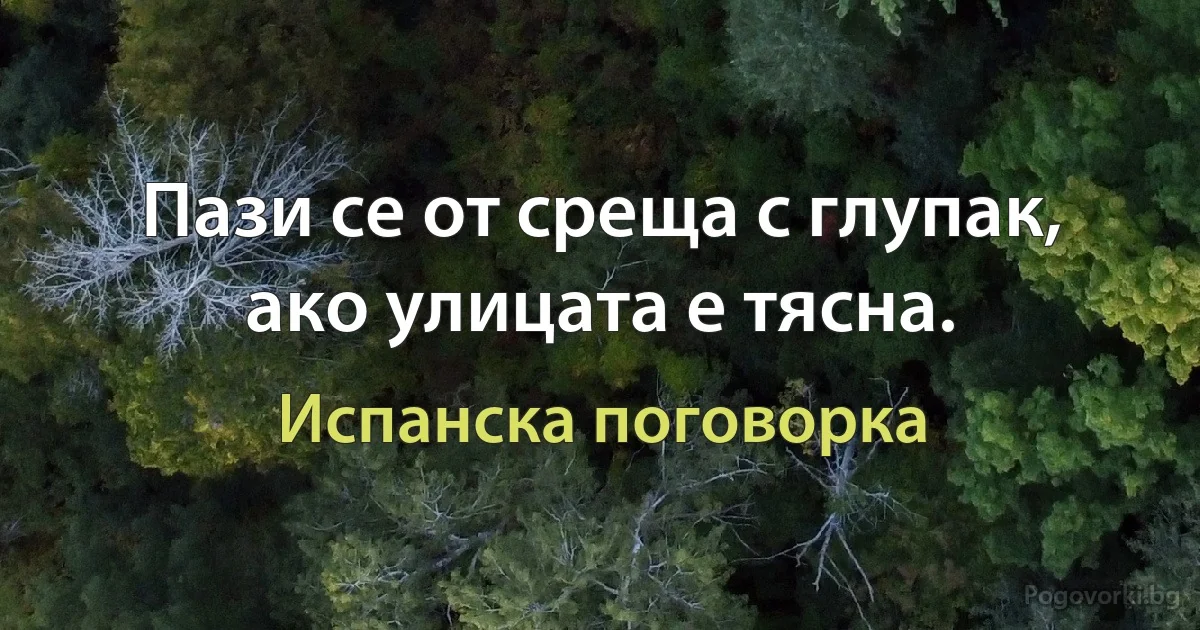 Пази се от среща с глупак, ако улицата е тясна. (Испанска поговорка)