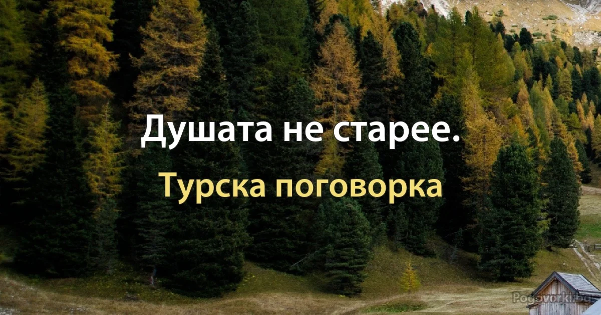 Душата не старее. (Турска поговорка)