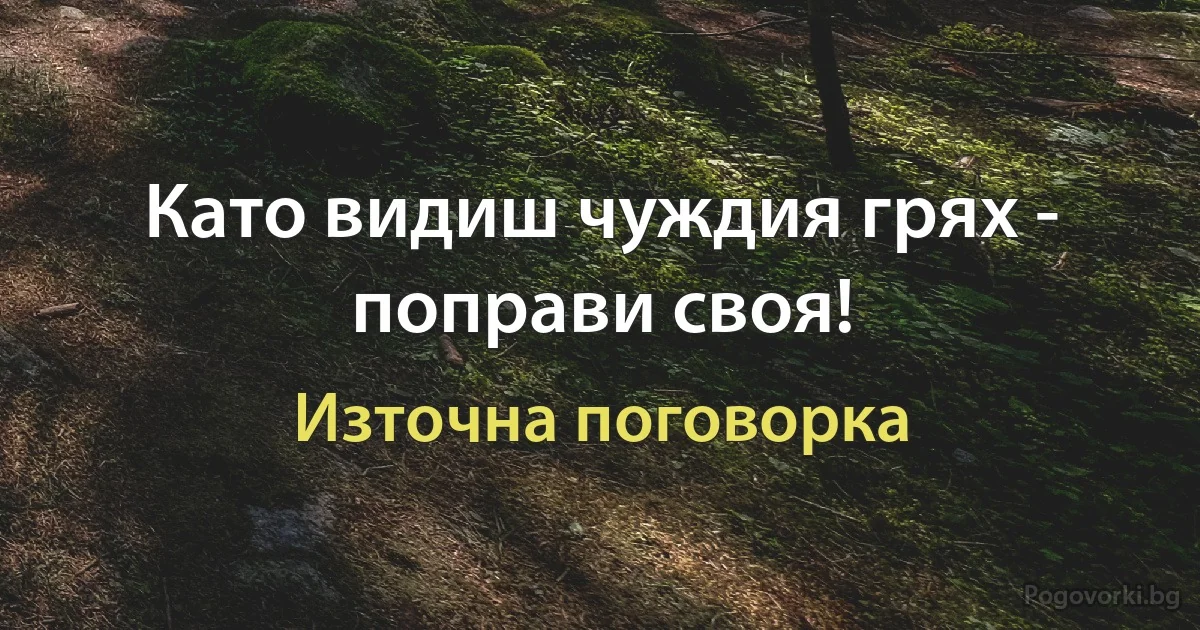 Като видиш чуждия грях - поправи своя! (Източна поговорка)