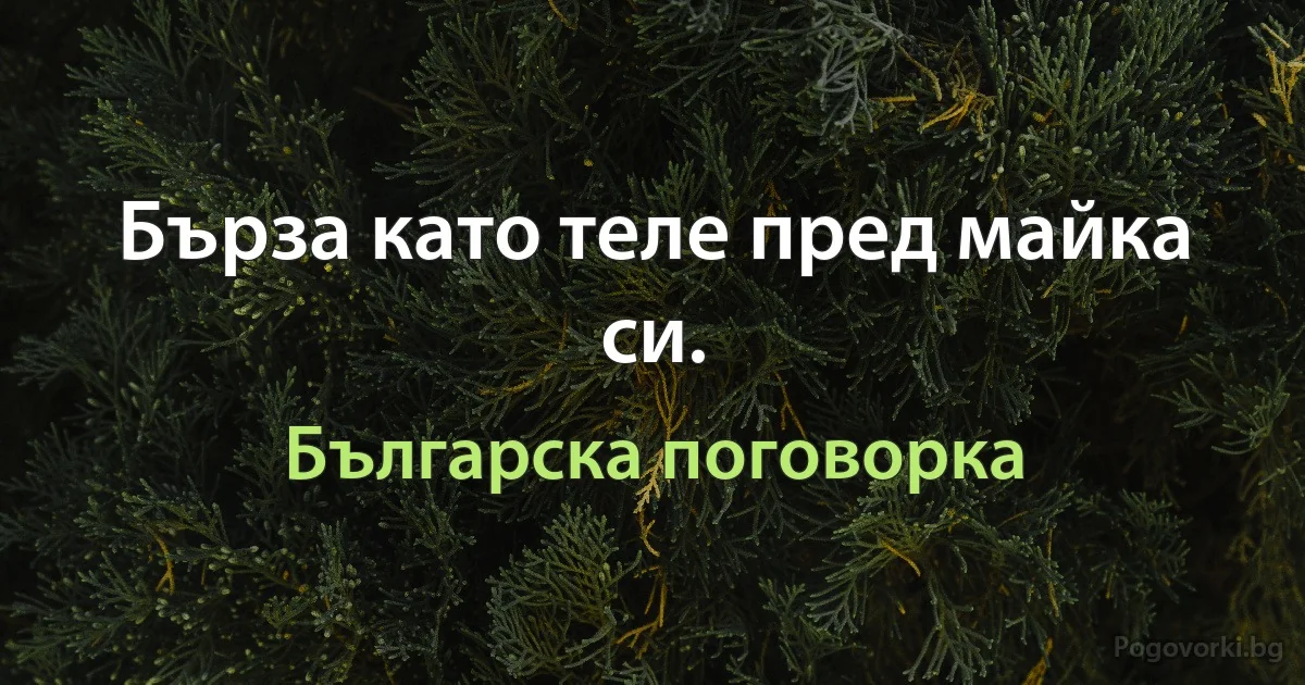 Бърза като теле пред майка си. (Българска поговорка)