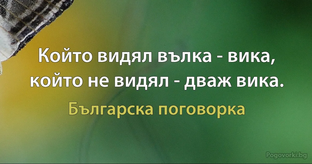 Който видял вълка - вика, който не видял - дваж вика. (Българска поговорка)