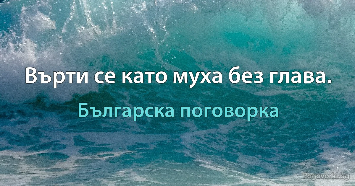 Върти се като муха без глава. (Българска поговорка)