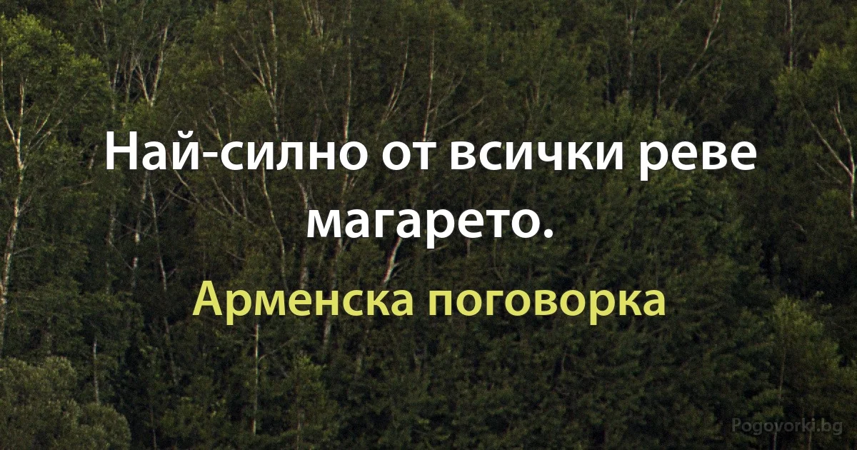 Най-силно от всички реве магарето. (Арменска поговорка)