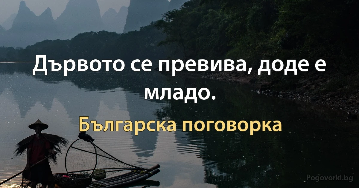 Дървото се превива, доде е младо. (Българска поговорка)