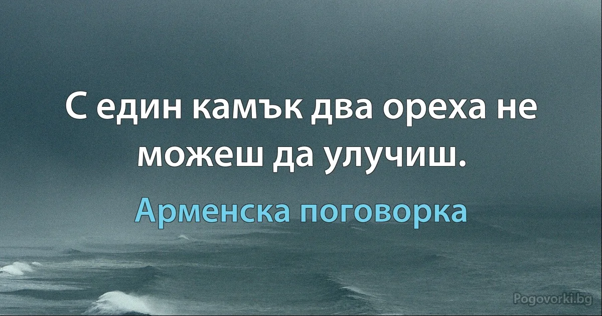 С един камък два ореха не можеш да улучиш. (Арменска поговорка)