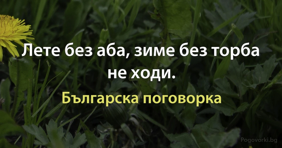 Лете без аба, зиме без торба не ходи. (Българска поговорка)