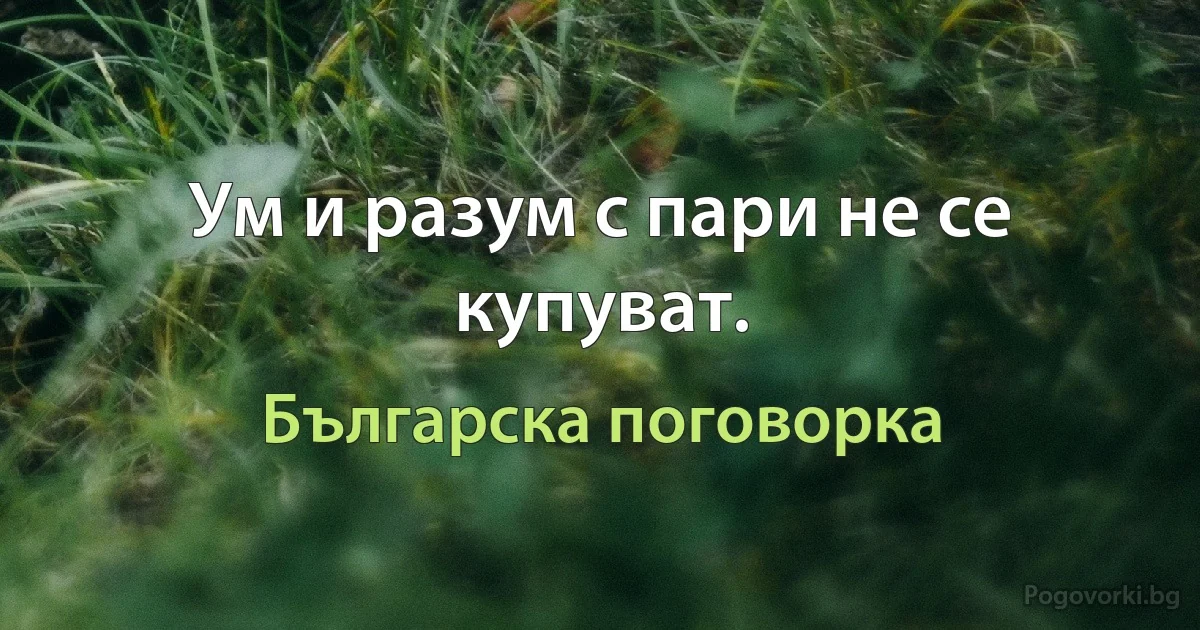 Ум и разум с пари не се купуват. (Българска поговорка)