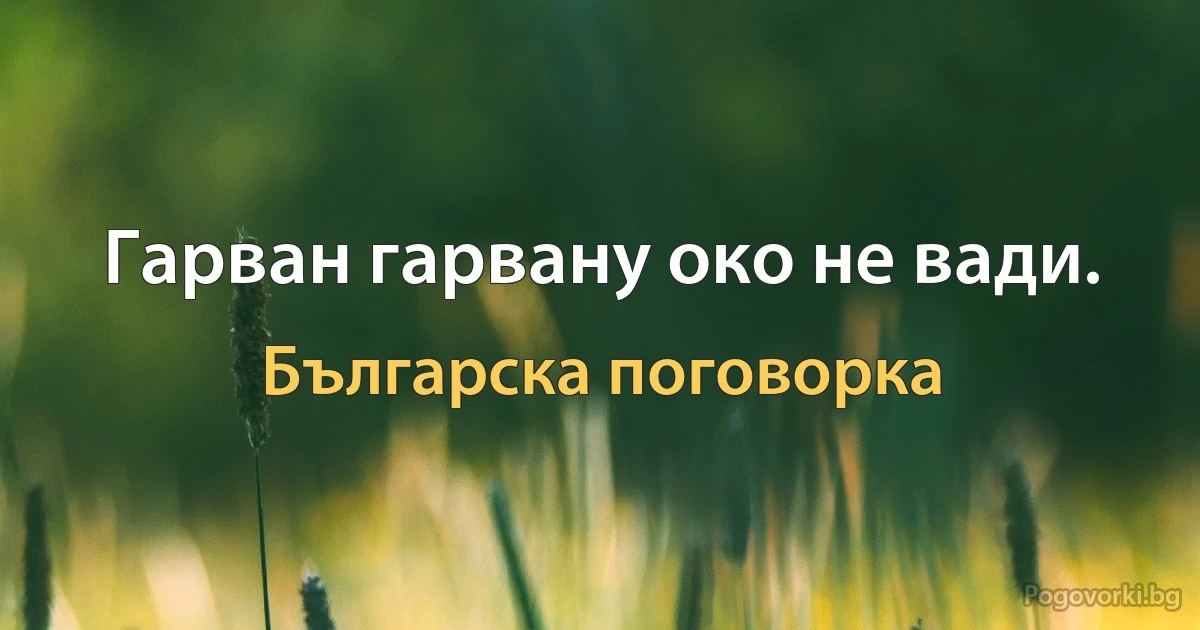 Гарван гарвану око не вади. (Българска поговорка)