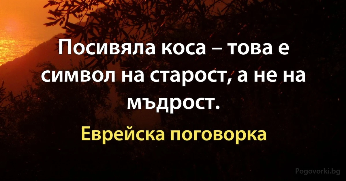 Посивяла коса – това е символ на старост, а не на мъдрост. (Еврейска поговорка)