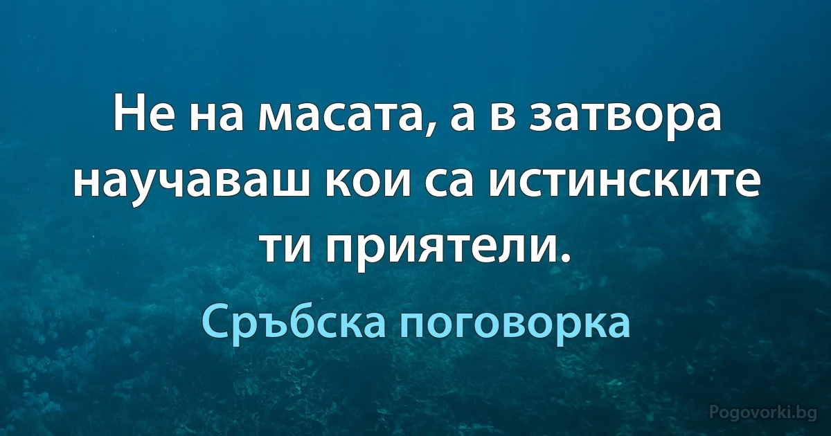 Не на масата, а в затвора научаваш кои са истинските ти приятели. (Сръбска поговорка)