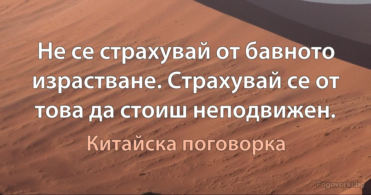 Не се страхувай от бавното израстване. Страхувай се от това да стоиш неподвижен. (Китайска поговорка)