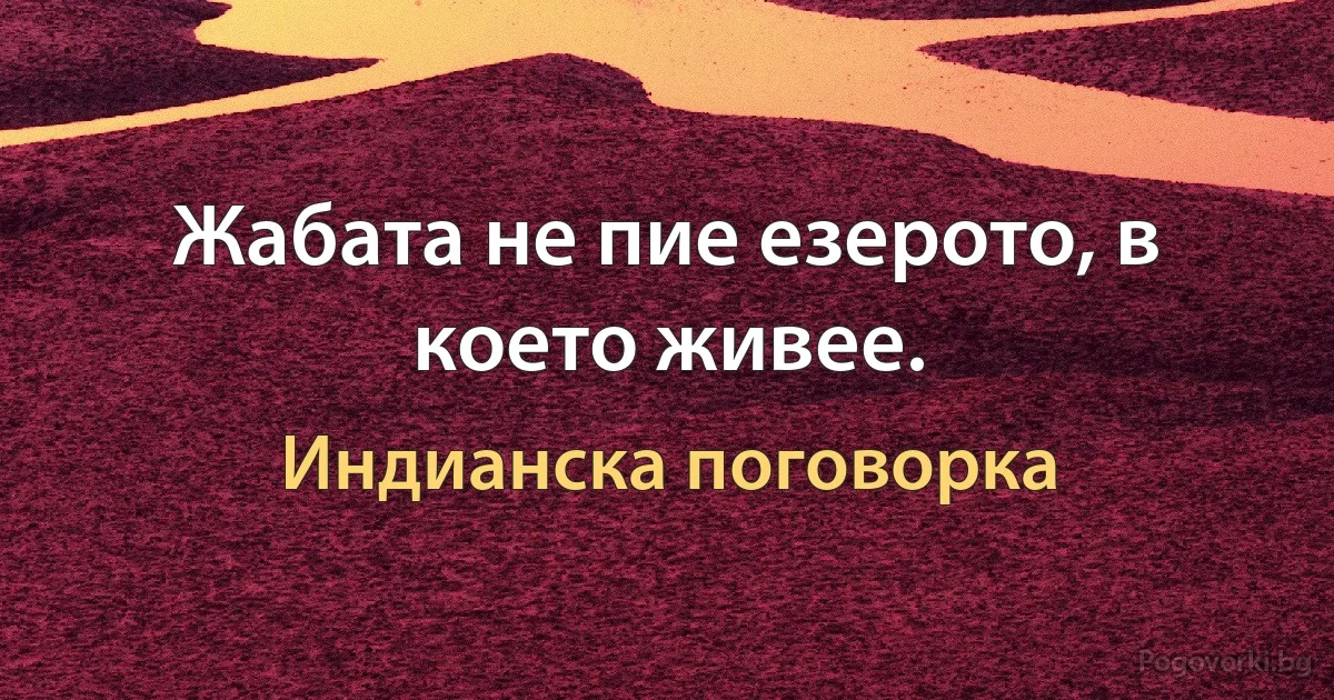 Жабата не пие езерото, в което живее. (Индианска поговорка)