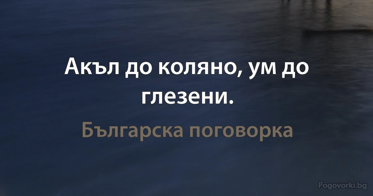 Акъл до коляно, ум до глезени. (Българска поговорка)