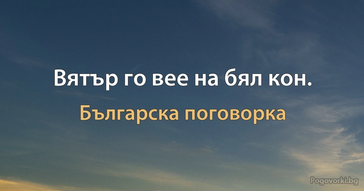 Вятър го вее на бял кон. (Българска поговорка)